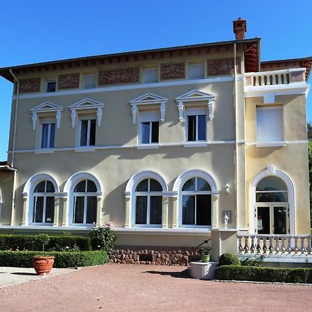 Chateau Blanchard Chazelles-sur-Lyon ภายนอก รูปภาพ